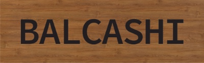 Logo balcashi web